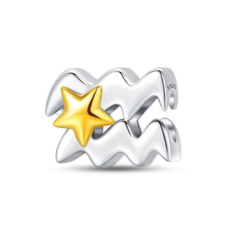 Liora Atelier Gold Star Astrology Signs Zodiac Constellation Charms