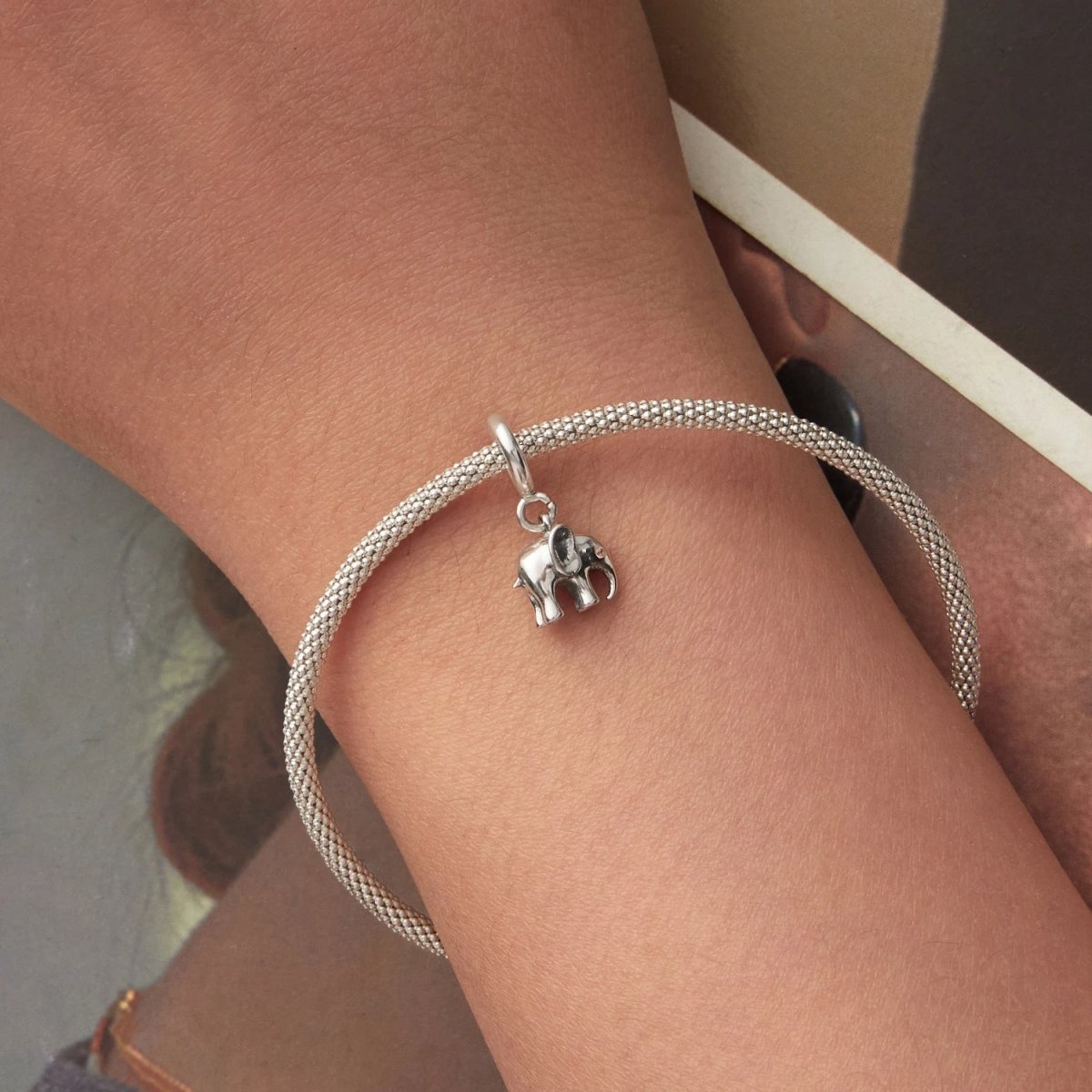 Liora Atelier Elephant with Crystal Eye Dangle Charm